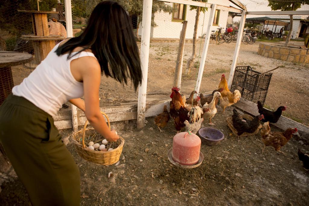 Bagban Bozcaada Bed & Breakfast Ngoại thất bức ảnh