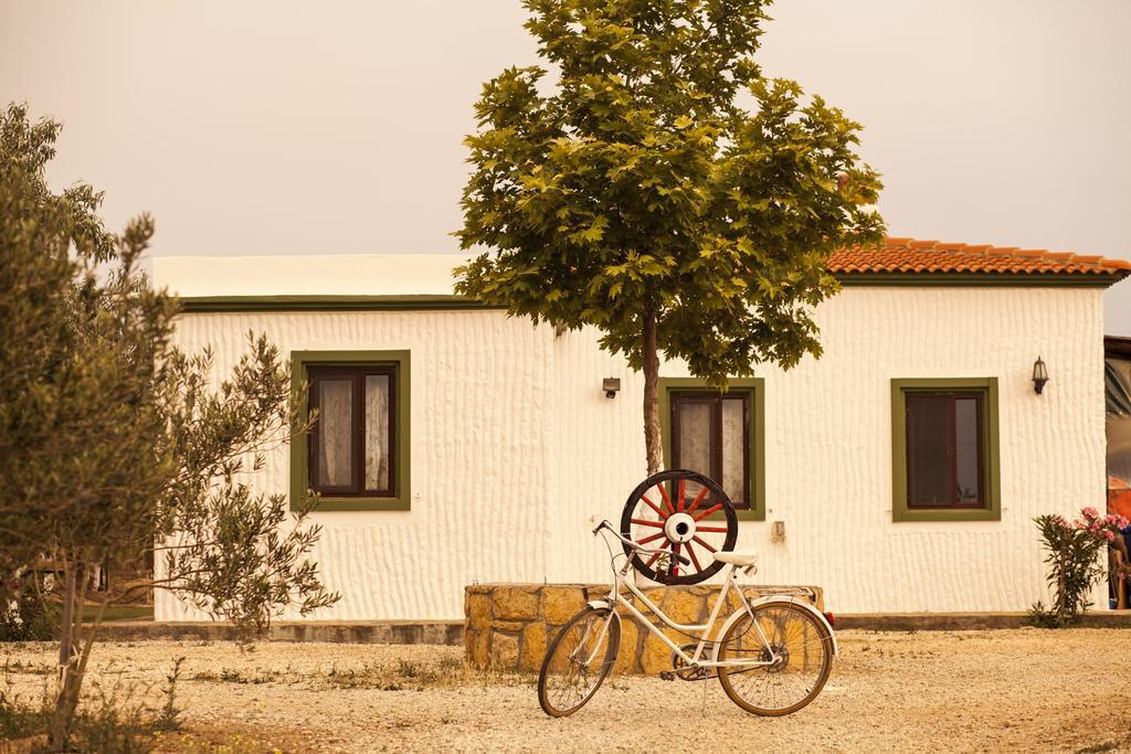 Bagban Bozcaada Bed & Breakfast Ngoại thất bức ảnh