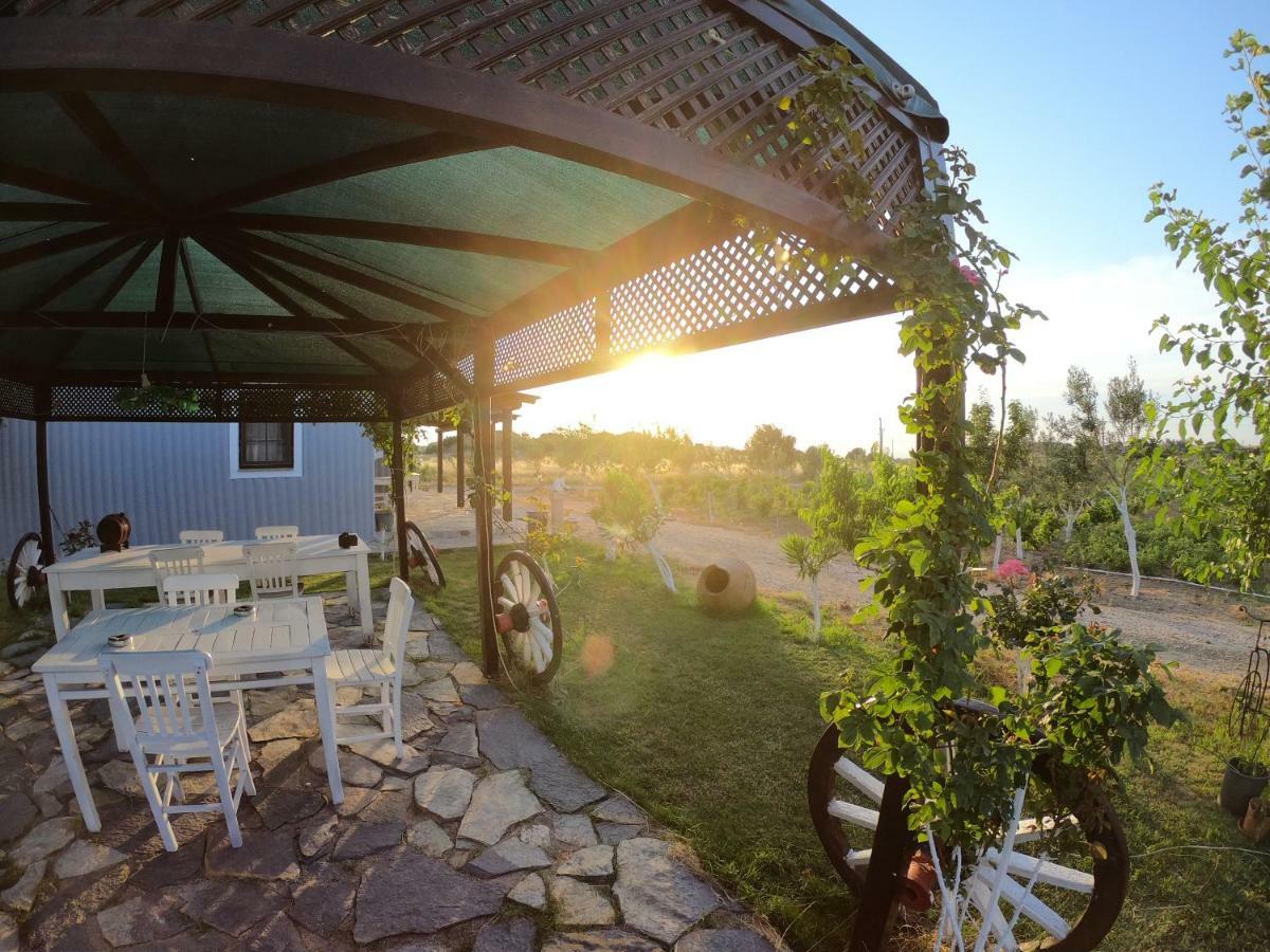 Bagban Bozcaada Bed & Breakfast Ngoại thất bức ảnh